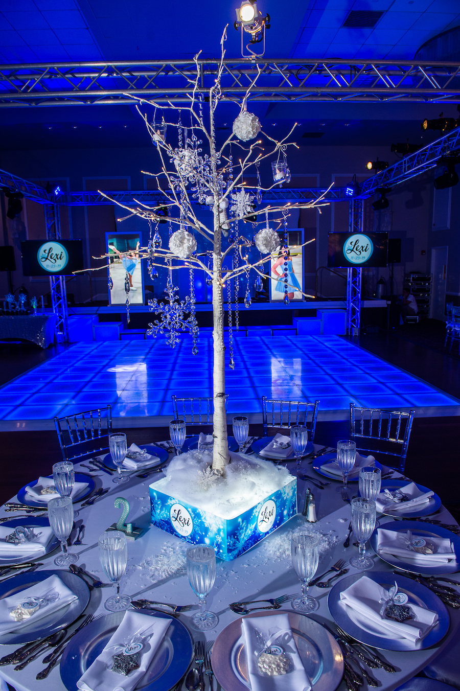 Lexi's Winter Wonderland Bat Mitzvah