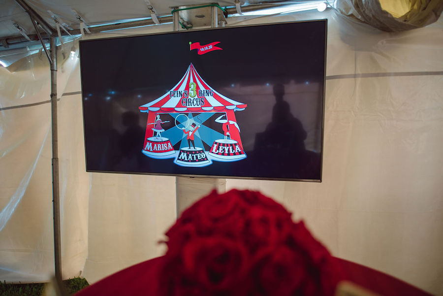 “Three Ring Circus” Themed B’Nai Mitzvah